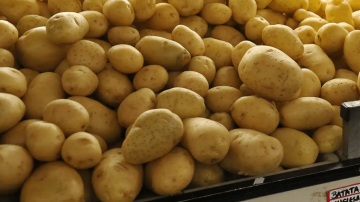 Captura de tela 2024-09-10 213611