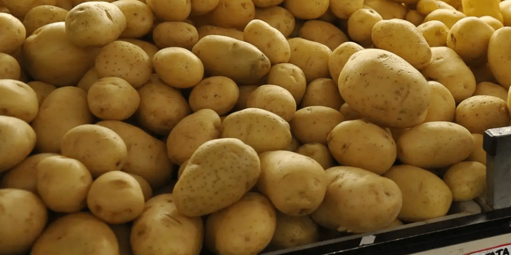 Captura de tela 2024-09-10 213611